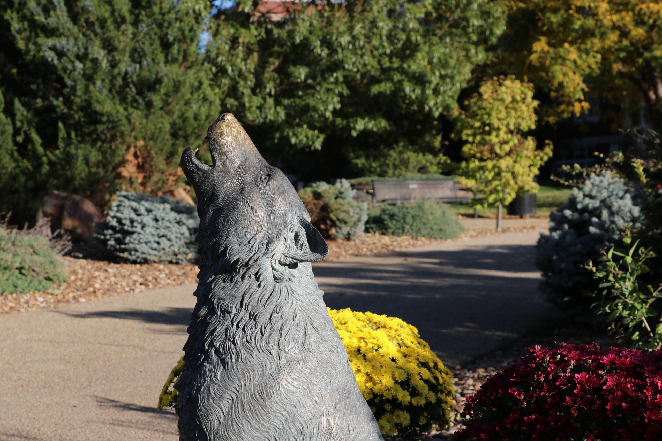 Statue of Coyote